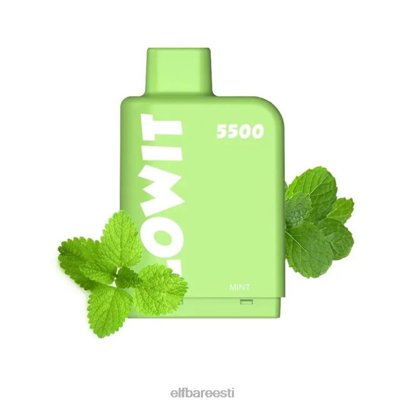 24H0X141 ELFBAR eeltäidetud pod lowit 5500 pahvi 2%nic piparmünt