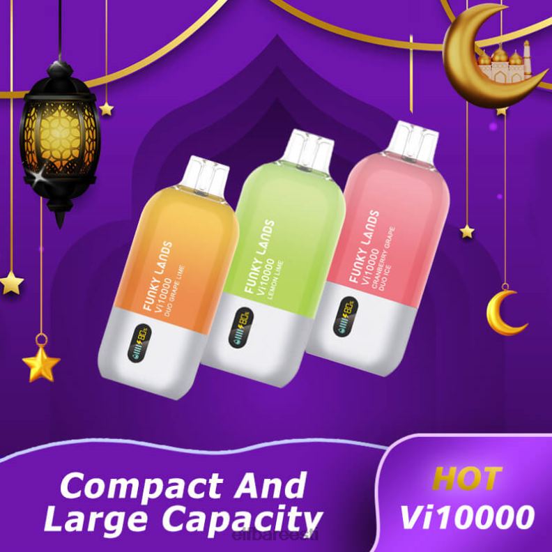 24H0X158 ELFBAR funky lands ühekordne vape vi10000 puffs mustikajää